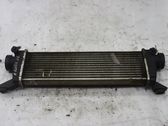 Intercooler radiator