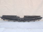 Engine bonnet/hood lock trim molding
