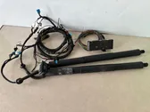 Tailgate hydraulic set