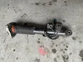 Rear shock absorber/damper