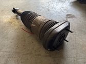 Shock absorber/damper/air suspension