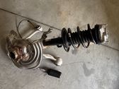 Front wheel hub spindle knuckle