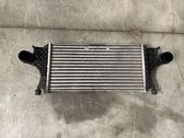 Radiador intercooler