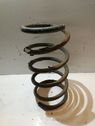 Rear coil spring