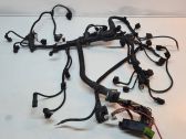 Faisceau de câblage pour moteur
