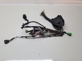 Front door wiring loom