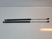 Tailgate/trunk strut/damper