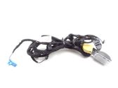 Rear door wiring loom