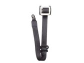 Rear seatbelt buckle
