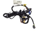 Front door wiring loom