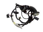 Rear door wiring loom