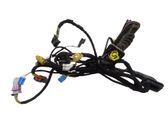 Front door wiring loom