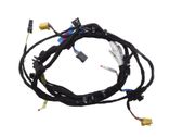 Front door wiring loom