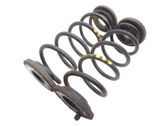 Muelle espiral trasero