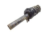Front shock absorber/damper