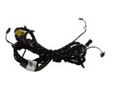 Rear door wiring loom