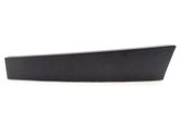 Rear door trim (molding)
