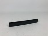 Radio/GPS head unit trim