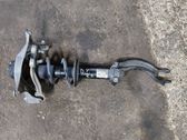 Front shock absorber with coil spring