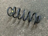 Rear coil spring