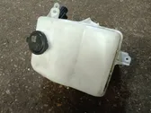 Lamp washer fluid tank