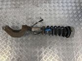 Front shock absorber with coil spring