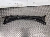 Wiper trim