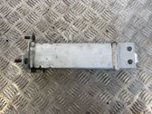 Front bumper support beam