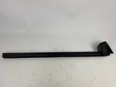 Door glass trim