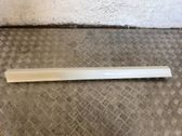 Front door trim (molding)