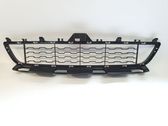 Front bumper lower grill