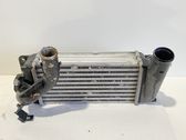 Radiatore intercooler