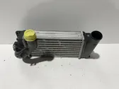 Intercooler radiator