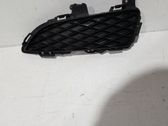 Front grill