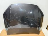Engine bonnet/hood