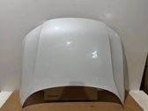 Engine bonnet/hood