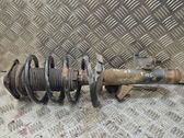 Front shock absorber with coil spring