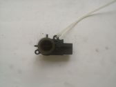 Interior temperature sensor