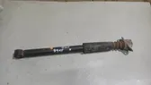 Stoßdämpfer hinten