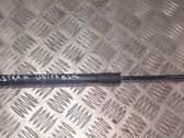 Tailgate/trunk strut/damper