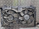 Electric radiator cooling fan