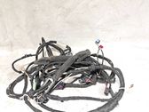 Arnés de cableado de la puerta trasera/maletero