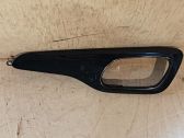 Other front door trim element