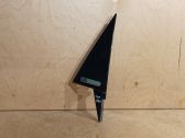Rear door glass trim molding