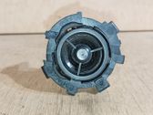 Front door high frequency speaker