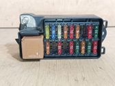 Fuse module