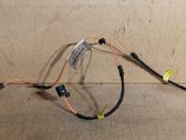 Sound system wiring loom