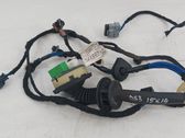 Front door wiring loom
