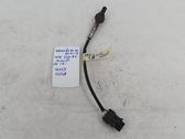 Sonde lambda