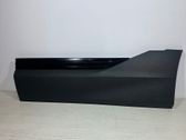 Rear door trim (molding)